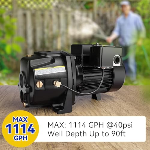 Shallow/Deep Well Jet Pump, Cast Iron Convertible Pump - Image 4