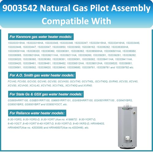 Long Term 9003542 Pilot Assembly Replacement for Natural Gas - Image 7