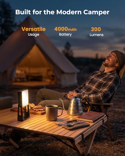 Rechargeable Camping Light Lamp, 2 Pack 4000mAh Dimmable - Image 4
