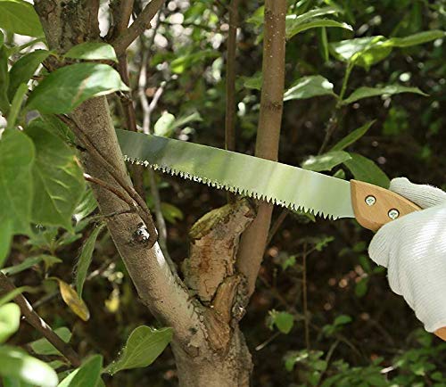 11 inch Straight Hand Pruning Saw - Image 3