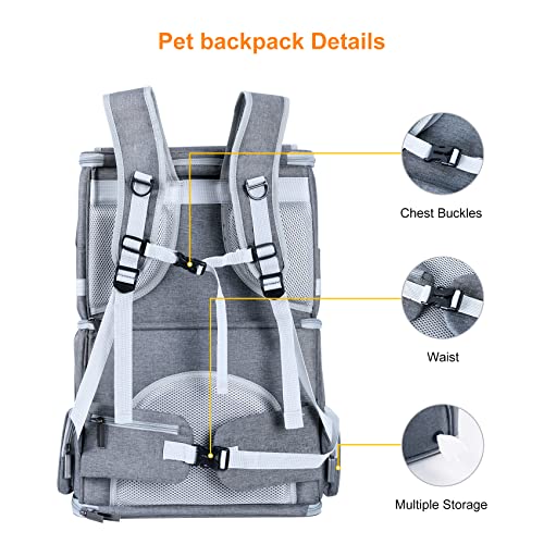 Double Cat Carrier for 2 Cats,Dog Backpack Carrier | Pet Essentials - Image 7