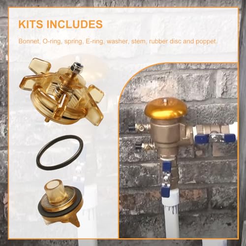 Bonnet & Poppet Assembly Repair Kit 905-211 for 765 | Home Repair - Image 4