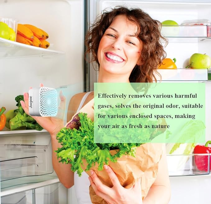 Refrigerator Deodorizer Lasts for 10 Years, Fridge Deodorizer Odor Eliminator 99%, Catalyst Air Purifier for Fridge & Freezer, Room, RV, Car, Closet, Shoe Cabinets and more (2PCS)
