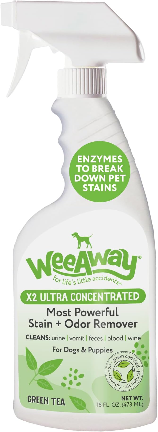 Ultra-Concentrated Stain & Strong Odor Eliminator, Enzyme Cleaner, Pet Odor Eliminator for Home - Dog Urine Destroyer - Carpet Cleaner Spray, Green Tea Scent, 16 fl oz