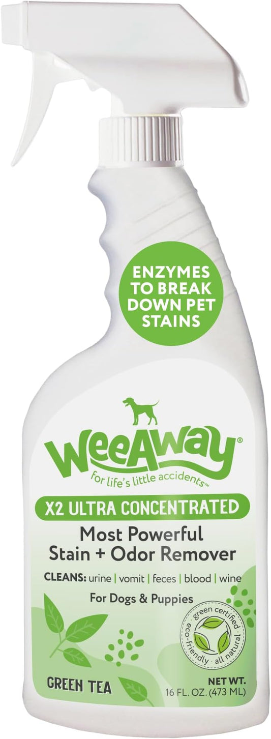 Ultra-Concentrated Stain & Strong Odor Eliminator, Enzyme Cleaner, Pet Odor Eliminator for Home - Dog Urine Destroyer - Carpet Cleaner Spray, Green Tea Scent, 16 fl oz