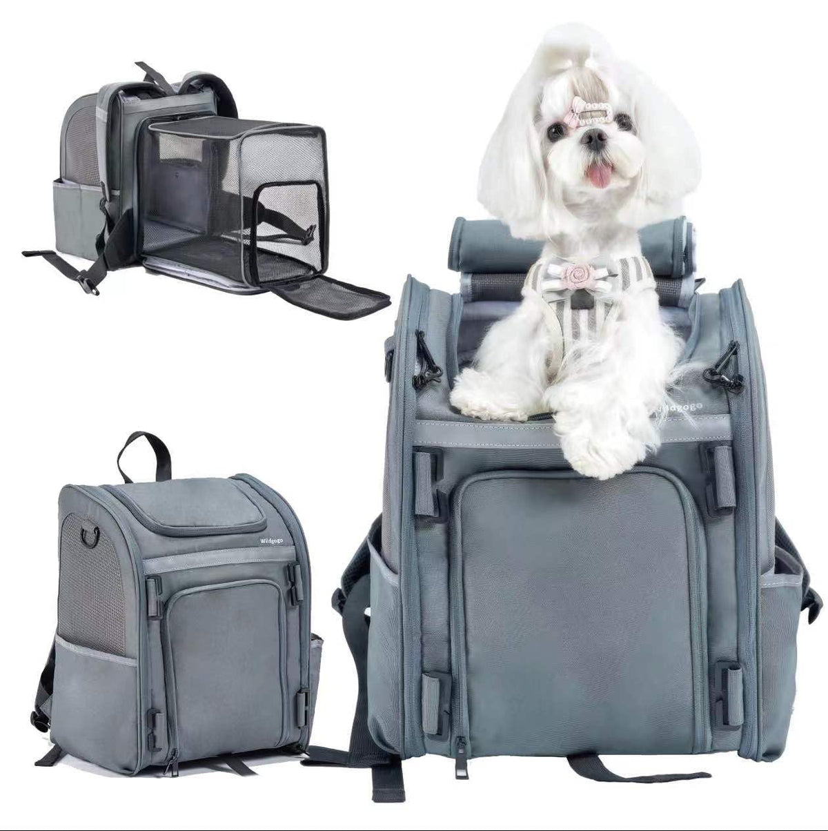 Expandable Pet Carrier, Airline-Approved | Pet Essentials - Image 1