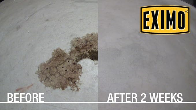CAF Outdoor Cleaning EXIMO® Waterless Concrete Cleaner for Driveway, Garage, Basement, and Walkway Surfaces (3 lbs)