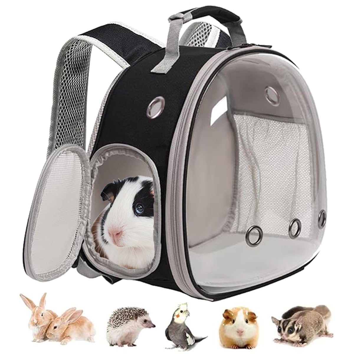 Guinea Pig Backpack, Space Capsule Bubble Window | Travel Essentials - Image 1