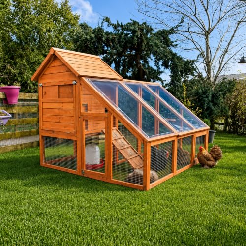 Clear Tarp with Grommets,8x10ft Transparent Heavy Duty - Image 6