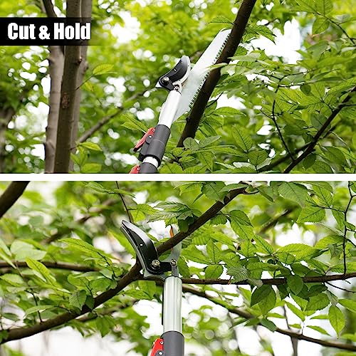 4.6-10 Ft Tree Trimmers Long Handle Pruner with Long Reach - Image 4