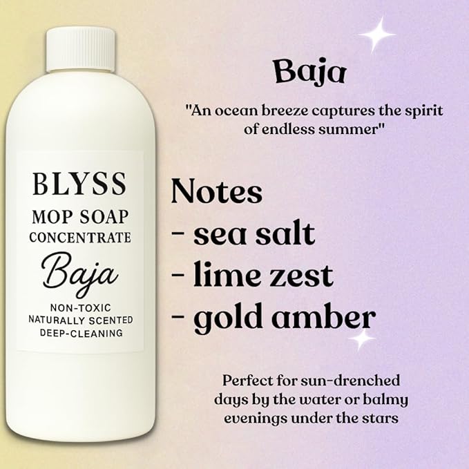 Blyss Official Mop Soap (Baja)