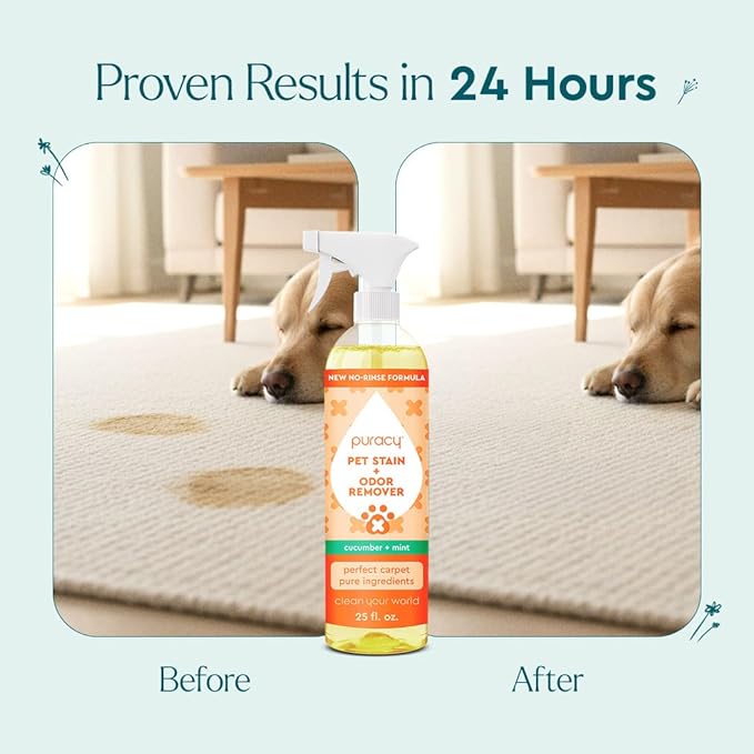Natural Pet Stain & Odor Remover, 25oz, Enzyme Cleaner for Dog & Cat Urine
