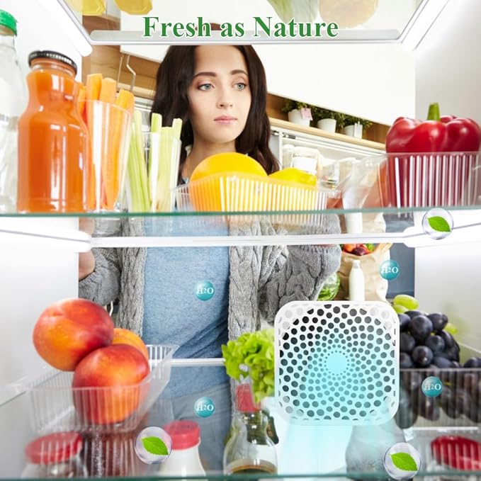 Refrigerator Deodorizer Lasts for 10 Years, Fridge Deodorizer Odor Eliminator 99%, Catalyst Air Purifier for Fridge & Freezer, Room, RV, Car, Closet, Shoe Cabinets and more (2PCS)