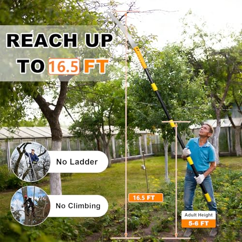 9.5FT Manual Pole Saw -Lightweight Tree Trimmer | Power Tool Accessori - Image 5