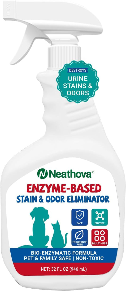 Enzyme-Based Stain & Odor Eliminator Spray, Unscented, 32oz