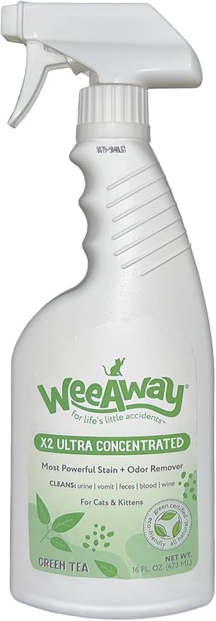 Ultra-Concentrated Stain & Strong Odor Eliminator, Enzyme Cleaner, Cat & Kitten Urine Destroyer - Carpet Cleaner Spray, Green Tea Scent, 16 fl oz