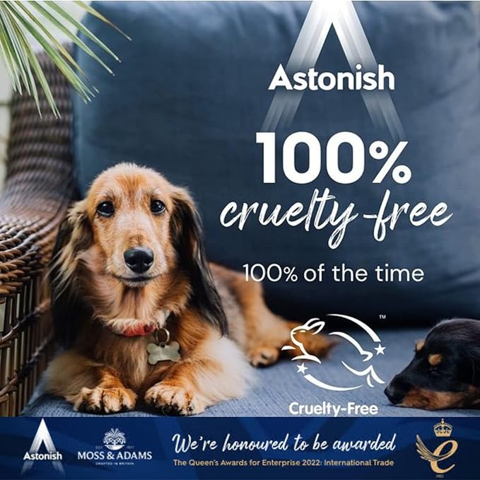 Astonish Multi Purpose Cleaning Spray With The Added Power Of Bleach - All Purpose Cleaning Solution Removes Heavy Duty Stains & Hygienically Cleans Bathrooms & Kitchen Surfaces, 750ml Spray Bottle