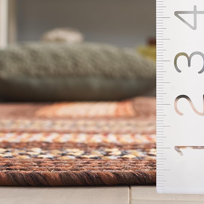 SAFAVIEH Washable Rug Outdoor Braided Collection - 6' x 9' Oval, Brown & Light Brown, Handmade & Reversible, Non-Shedding & Easy to Clean, Ideal for Patio, Backyard, Mudroom (BRD313T)