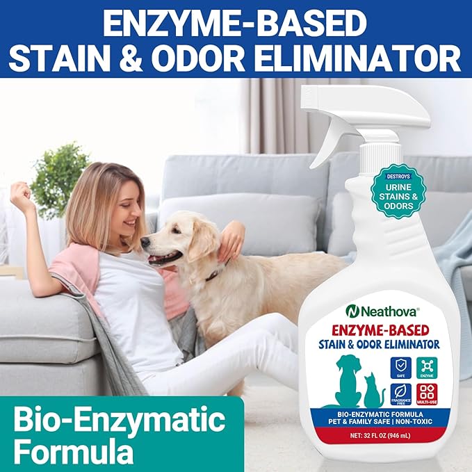 Enzyme-Based Stain & Odor Eliminator Spray, Unscented, 32oz