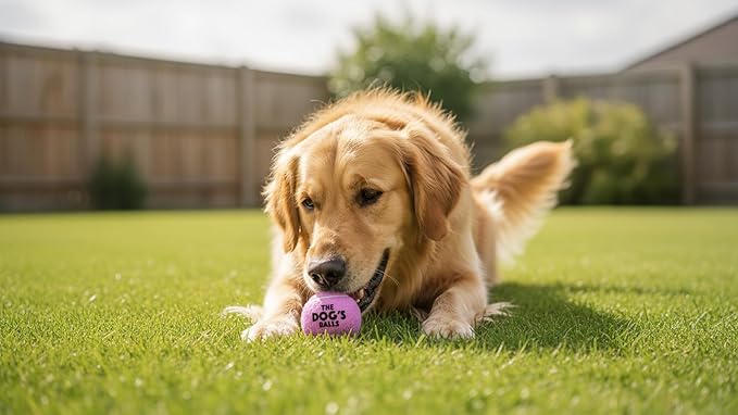 The Dog's Balls Dog Tennis Balls for Dogs, Lilac, 12-Pack - Non-Abrasive Felt Fetch Balls, Tough Rubber Core, Float in Water, Fits Standard Launchers