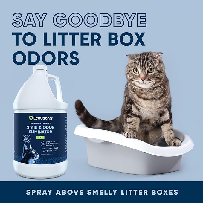 Enzyme Odor Eliminator – Permanent Pet Smell Removal