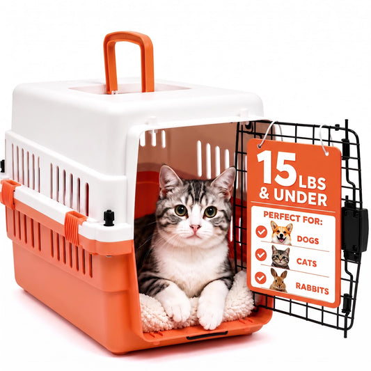 Hard-Sided Pet Carrier for Cats and Small Dogs, 20" | Pet Essentials - Image 1