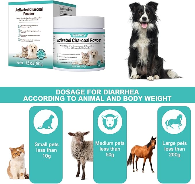 Activated Charcoal for Dogs, Cats, and All Pets, Charcoal for Dogs Poisoning, Digestive Upset and Gas Relief, Liver Support, Non-GMO, Gluten Free,3.53oz(Powder)