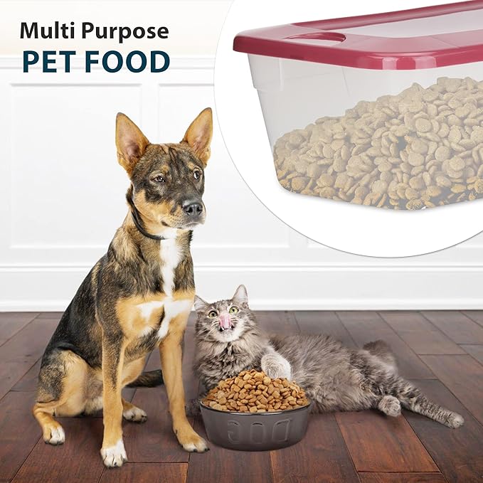DecorRack Clear Plastic Storage Containers, 6 Quart Shoe Boxes, Stackable, Perfect for Toy Storage, Cat and Dog Food Container, Grey (6 Pack)
