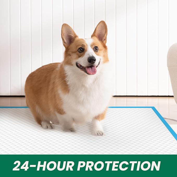 IMMCUTE Large Dog Pee Pads 28"x30"-30 Count | Large Puppy Pee Training Pads Super Absorbent & Leak-Proof | Disposable Pet Piddle and Potty Pads for Puppies | Dogs | Doggie| Cats | Rabbits