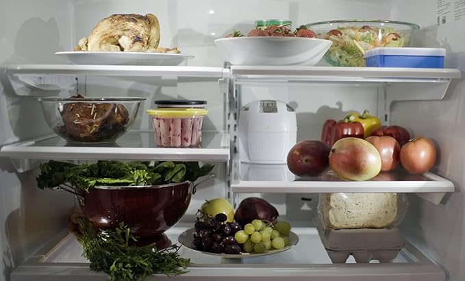 Berry Breeze Activated Oxygen Refrigerator Deodorizer-2023Model