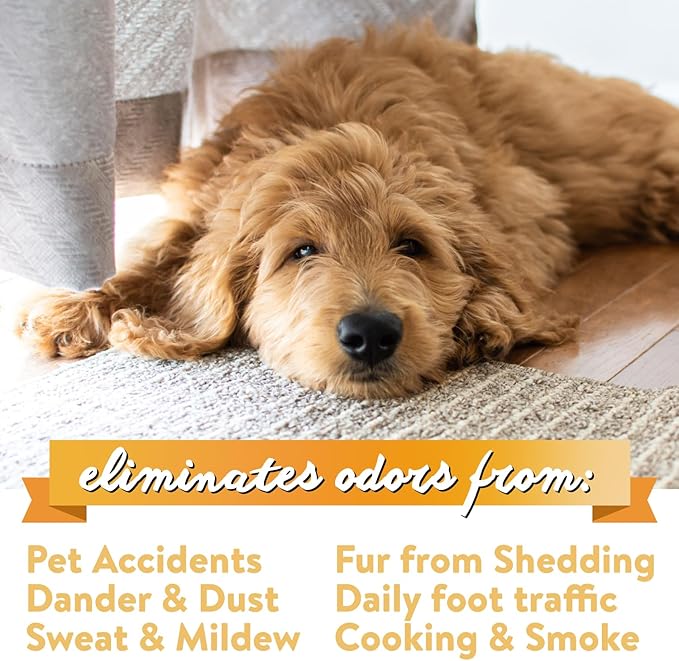Natural Carpet Deodorizer Powder, Fresh Laundry Scent, 1-Pack