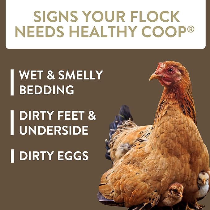 Healthy Coop,Litter Additive for Chicken Coop with Probiotic & Acidifier,Reduces Odor,Wetness & Bacteria,12lbs,(Pack of 3)