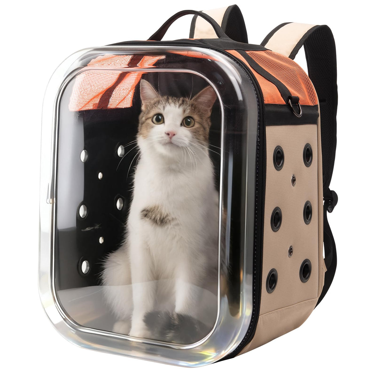 Cat Backpack Carrier: Large Breathable Cat Backpack Bubble - Image 1