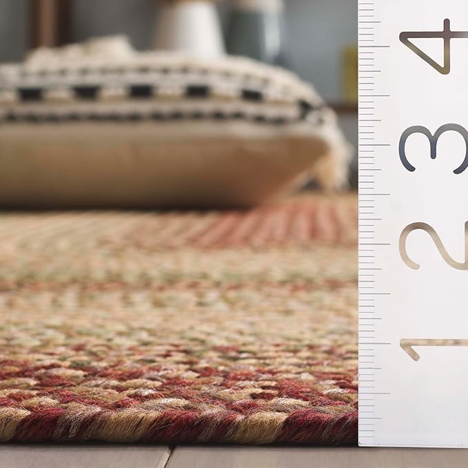 SAFAVIEH Washable Rug Outdoor Braided Collection - 4' x 6' Oval, Rust & Multi, Handmade & Reversible, Non-Shedding & Easy to Clean, Ideal for Patio, Backyard, Mudroom (BRD303A)