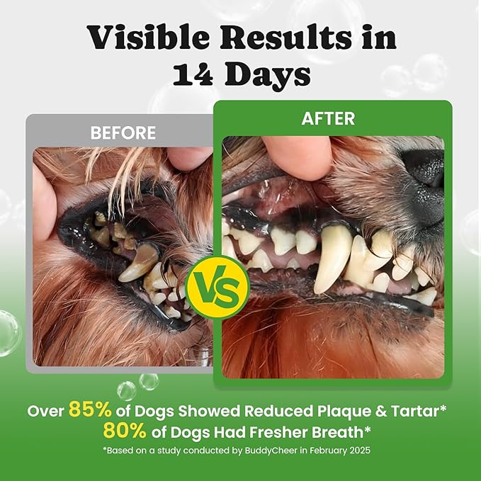 Dog Teeth Cleaning Powder, Dog Dental Powder and Cats Breath Freshener, Plaque Off Pet Tooth Cleaning lab co, Bad Breath & Tartar Remover for Dogs, Dog Teeth Cleaning with Enzymes- 60-Day Supply -Mint