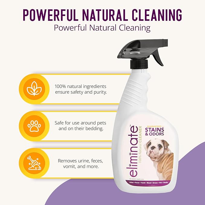 Enzymatic Stain & Odor Remover, 32 oz
