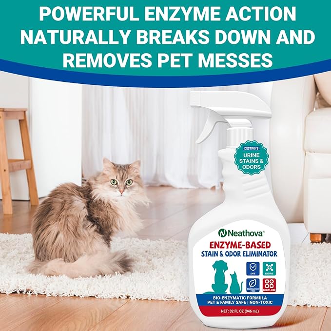 Enzyme-Based Stain & Odor Eliminator Spray, Unscented, 32oz