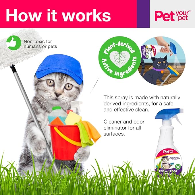 Cat Pee and Poop Remover 16 fl Oz – All-in-One Pet Stain and Odor Remover with Plant-Derived Ingredients – Stain and Odor Removers for Upholstery, Carpets & Hard Floors