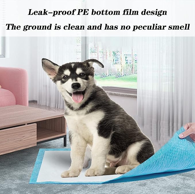 60 Count Dog Pee Pads Extra Large,36"x36"Pee Pads for Dogs Absorbent & Leak-Proof,Disposable Pet Training and Puppy Pads for Cats Dogs Rabbit