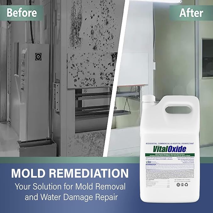 All-in-One Disinfectant – Kills Mold, Odor & Bacteria