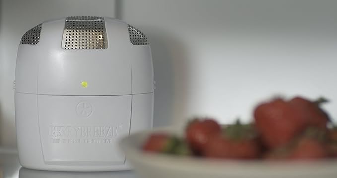 Berry Breeze Activated Oxygen Refrigerator Deodorizer-2023Model