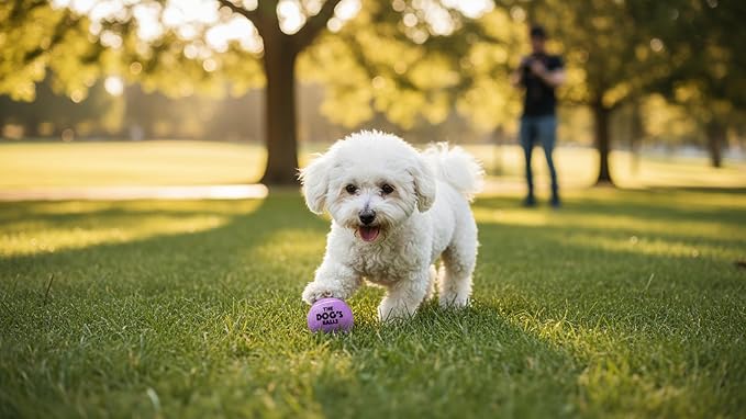 The Little Dog’s Balls Dog Tennis Balls for Small Dogs & Puppies, Lilac, 6-Pack - Non-Abrasive Felt Fetch Balls, Tough Rubber Core, Float in Water