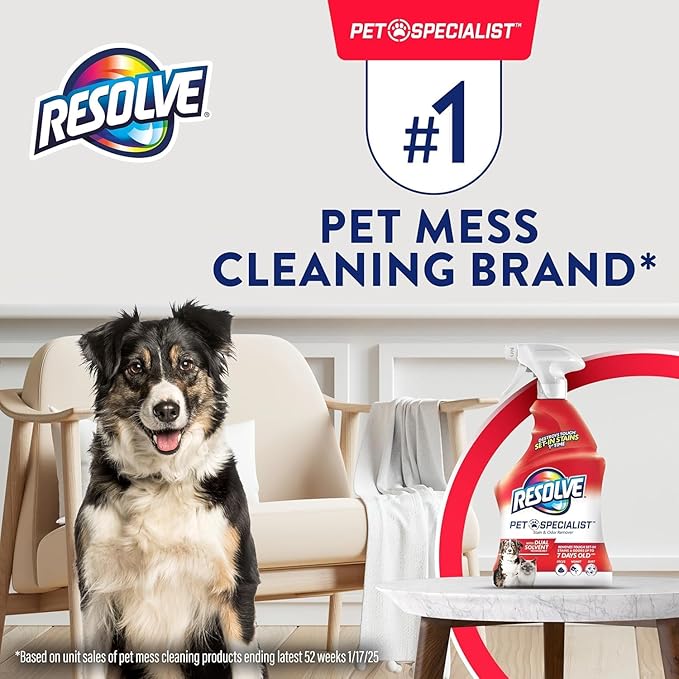Resolve® Upholstery & Multi-Fabric Spot & Stain Remover 22 oz. + Stain & Odor Remover 22 oz