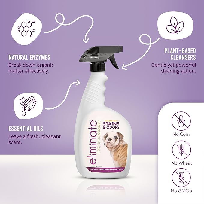 Enzymatic Stain & Odor Remover, 32 oz