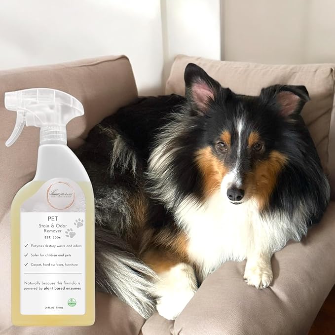 Plant-Based Enzyme Pet Stain & Odor Remover