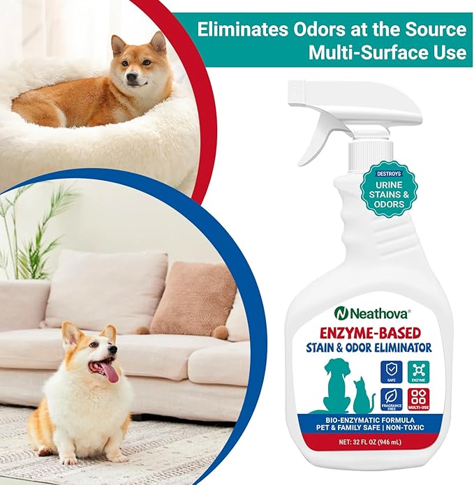 Enzyme-Based Stain & Odor Eliminator Spray, Unscented, 32oz