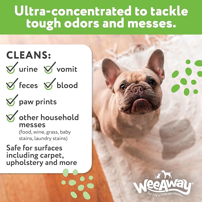 Ultra-Concentrated Stain & Strong Odor Eliminator, Enzyme Cleaner, Pet Odor Eliminator for Home - Dog Urine Destroyer - Carpet Cleaner Spray, Green Tea Scent, 16 fl oz