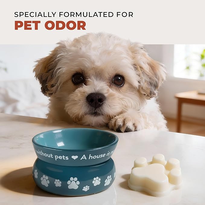 One Fur All Pet House Scented Wax Melts, Natural, Plant Based Soy Wax Melt for Pet Odor, Long Lasting Fragrance for Fresh Smelling Homes, Evergreen Forest, Pack of 2