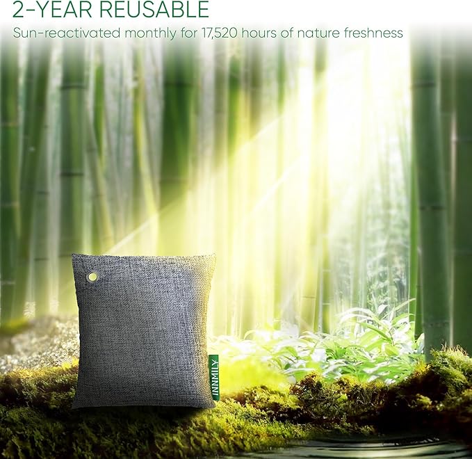 Charcoal Odor Absorber – 2-Year Reusable, Zero Waste