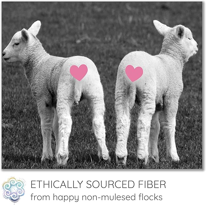 Super Dense Clean Wool Filler for Pillows, Stuffed Animals, Pouf, Pin Cushions, Crafting. 1LB, Natural White Dense